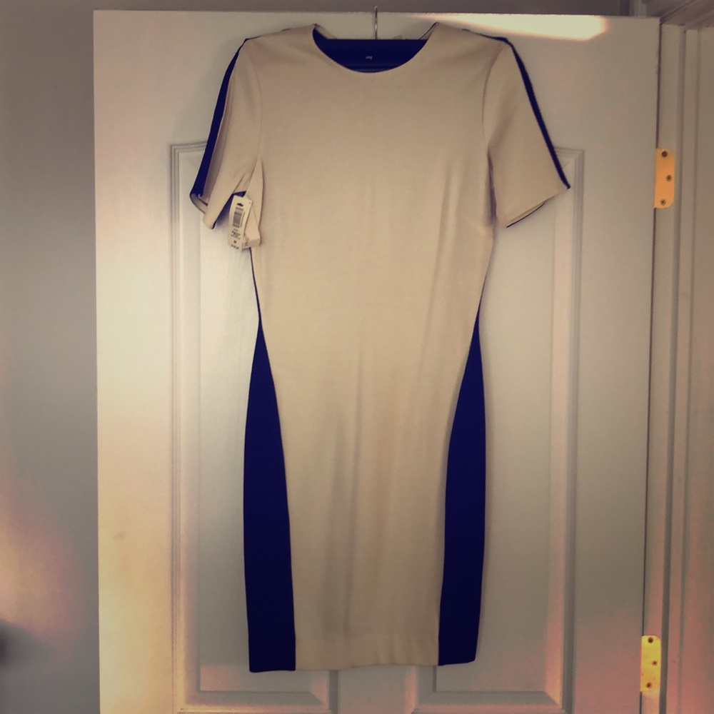 Wilfred Short dual color dress